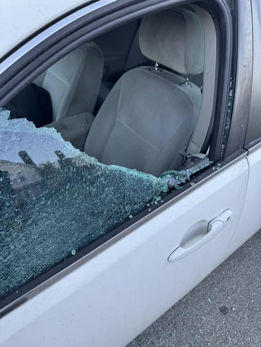 So a mf took it upon they broke ass self to break into my car and steal all my Valentine Day gifts I bought 📷📷 the basket, the flower, Pandora anklet, a zip, some uggs, and a purse. She ain’t gone believe this sht!