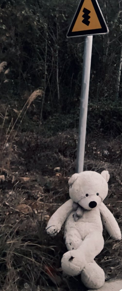 stapiu's tweet photo. sad bear https://t.co/SwfxGI0Fv8