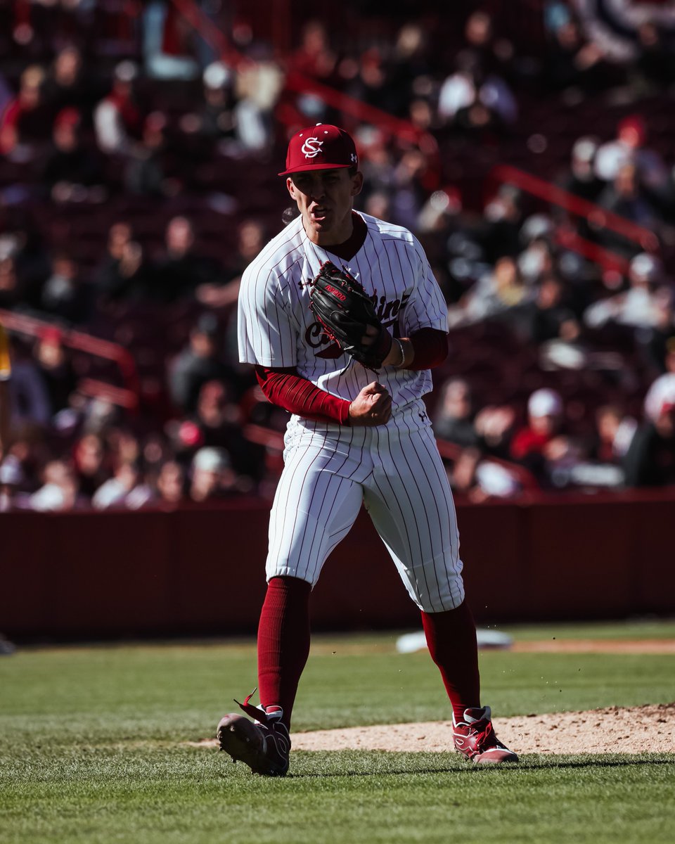 South Carolina Baseball tweet media