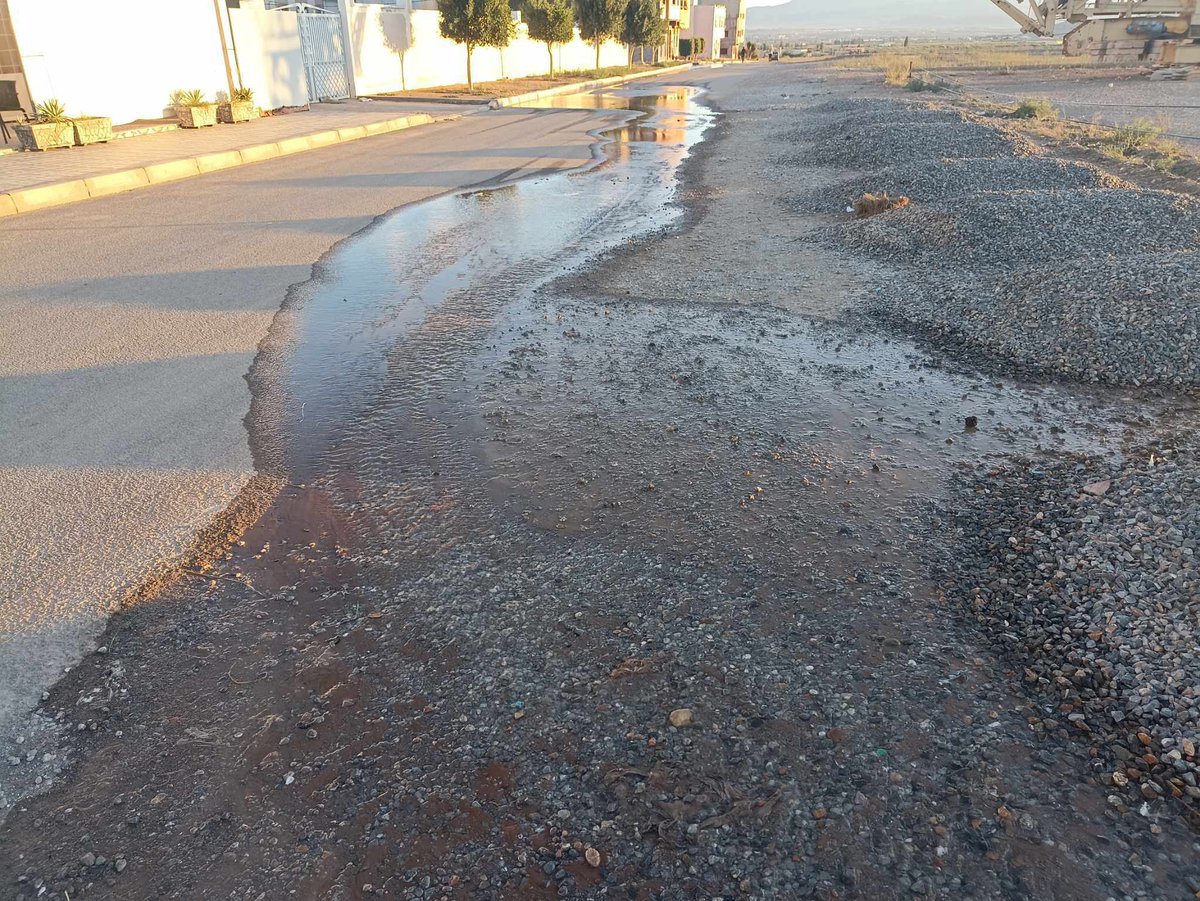 صحيفة عين الحقيقة tweet media