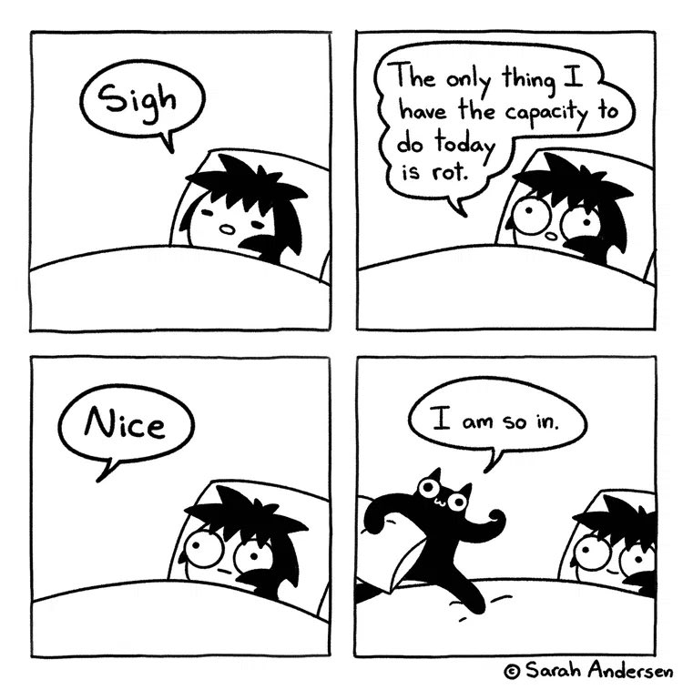 Sarah’s Scribbles By  Sarah Andersen 
03.09.24