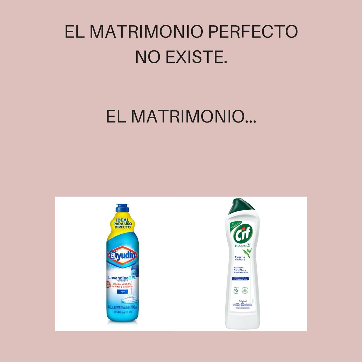 Michelle tweet media