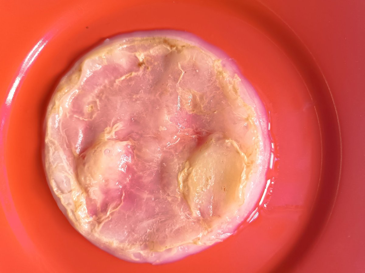 drkombucha8's tweet photo. Bacteria is airborne,this scoby grew on kefir water!did you know that could happen? https://t.co/wfWZX1N08l