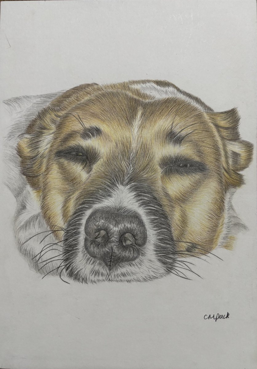 Claire May 😆 tweet media