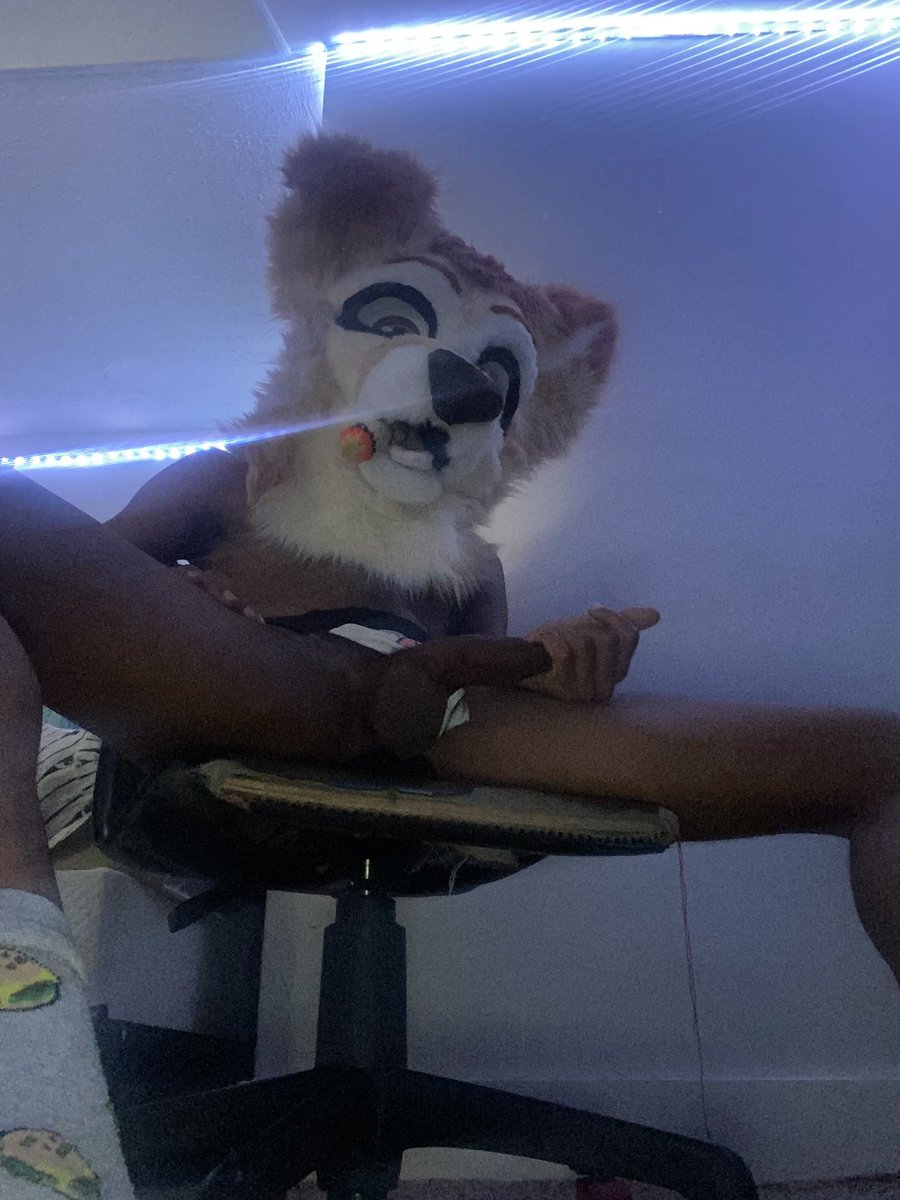 𓌹Fritz𓌺🔜Furrydelphia tweet media