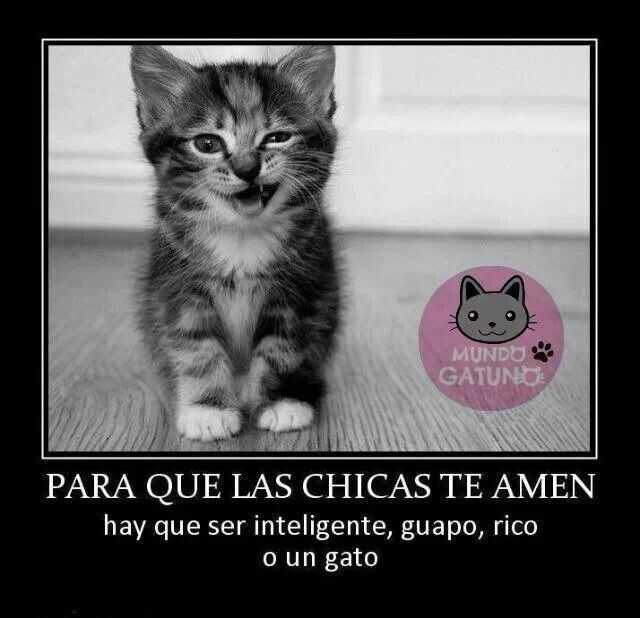 tinitoslimesito's tweet image. 