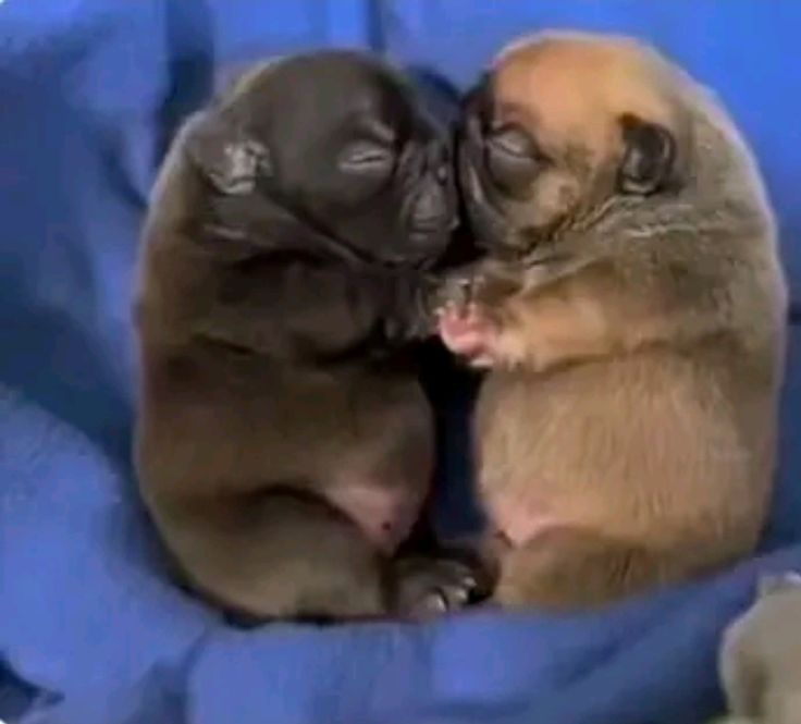 lo unico que pido el 14