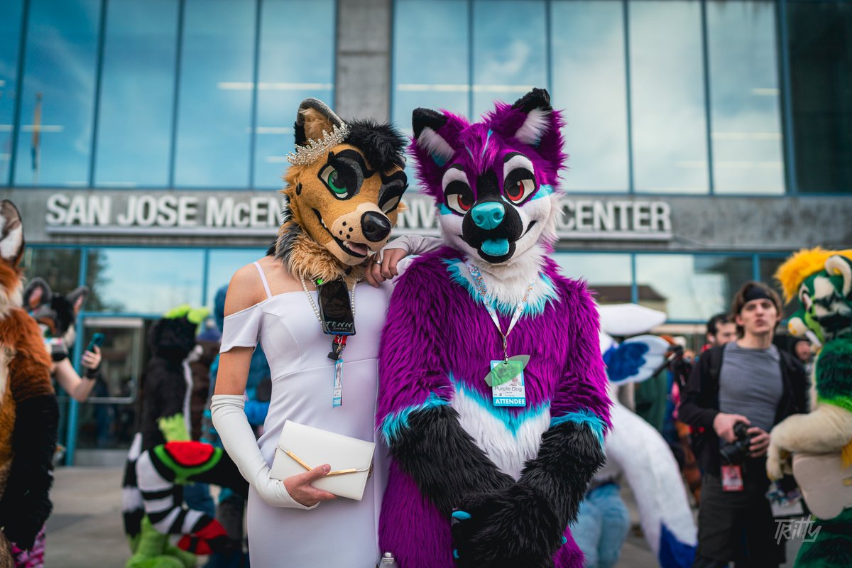 Purple Dog ✈️FWA tweet media