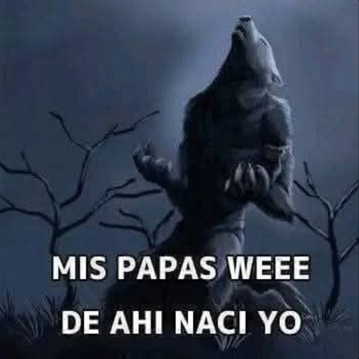 nella;friendly rivalry (@lvstabito) on Twitter photo 