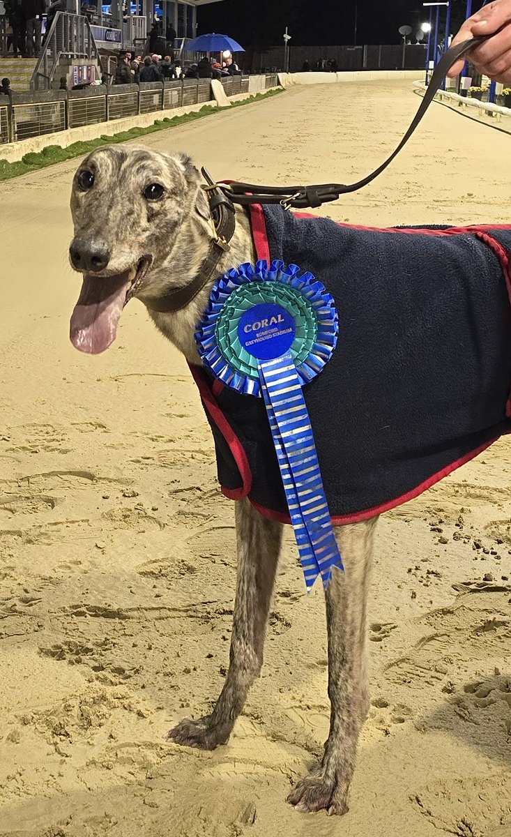 🎺Roger Kent-Barton Triumph Standard - Heat 3🔥 

🌟Winner of Race 4 - Romford Friday 13th February 2026

🏅Trap 6 - BRINDLE BULLY 

Trainer🏆- David Mullins (Rom)
Owner(s)🐾- B.B.Syndicate 

Congratulations to Connections!🩷