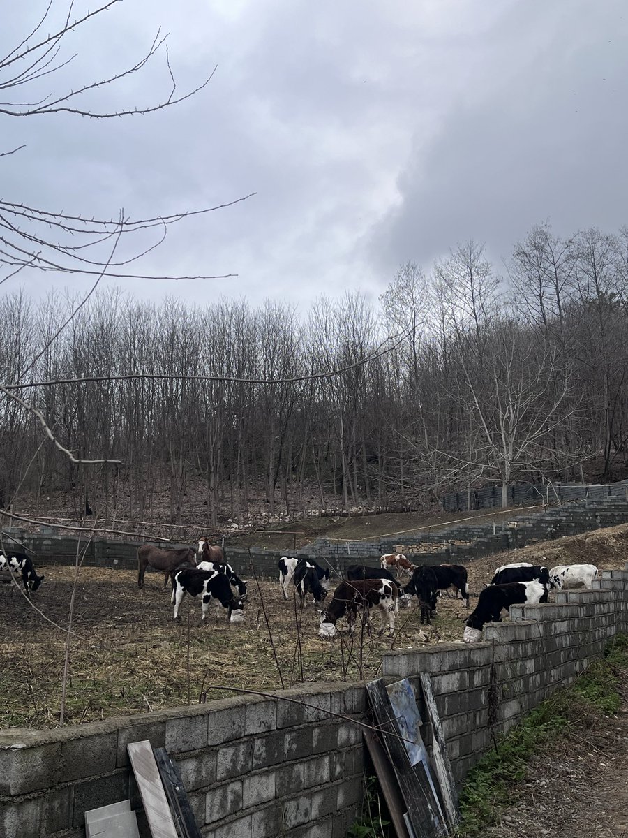 تنها جمعیتی که میشه تو این برهه باهاشون بی تنش و سالم زندگی کرد اینان