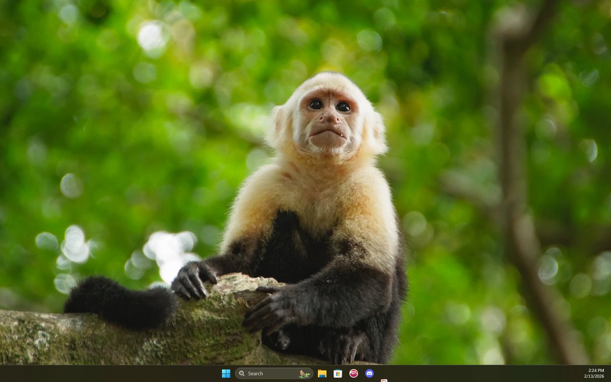 Fadel 🇩🇴🇱🇧 tweet media