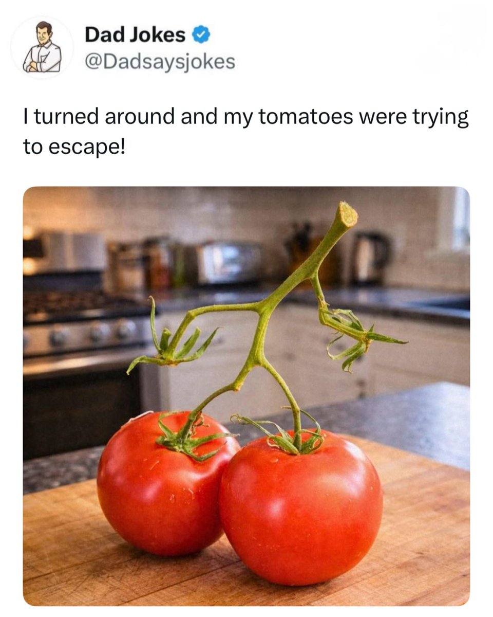 Dad Jokes tweet media