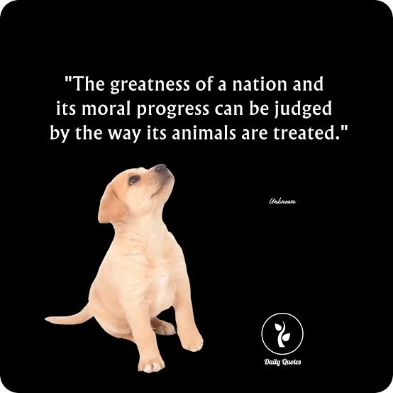 Nabootique tweet media