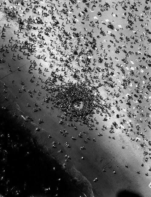 pierpi13's tweet photo. Coney Island, Brooklyn, 1951.
Accade una piccola tragedia: il corpo di Mary Eschner viene estratto dall'acqua e portato sulla spiaggia.
Centinaia di persone accorrono per un disperato tentativo di salvarla dall'annegamento.
Fortunatamente, la rianimazione ha successo e viene impressa su pellicola dalla grande Margaret Bourke-White.
Lo scatto è di una dinamicità eccezionale e verrà spesso paragonato ai processi vitali di una cellula.