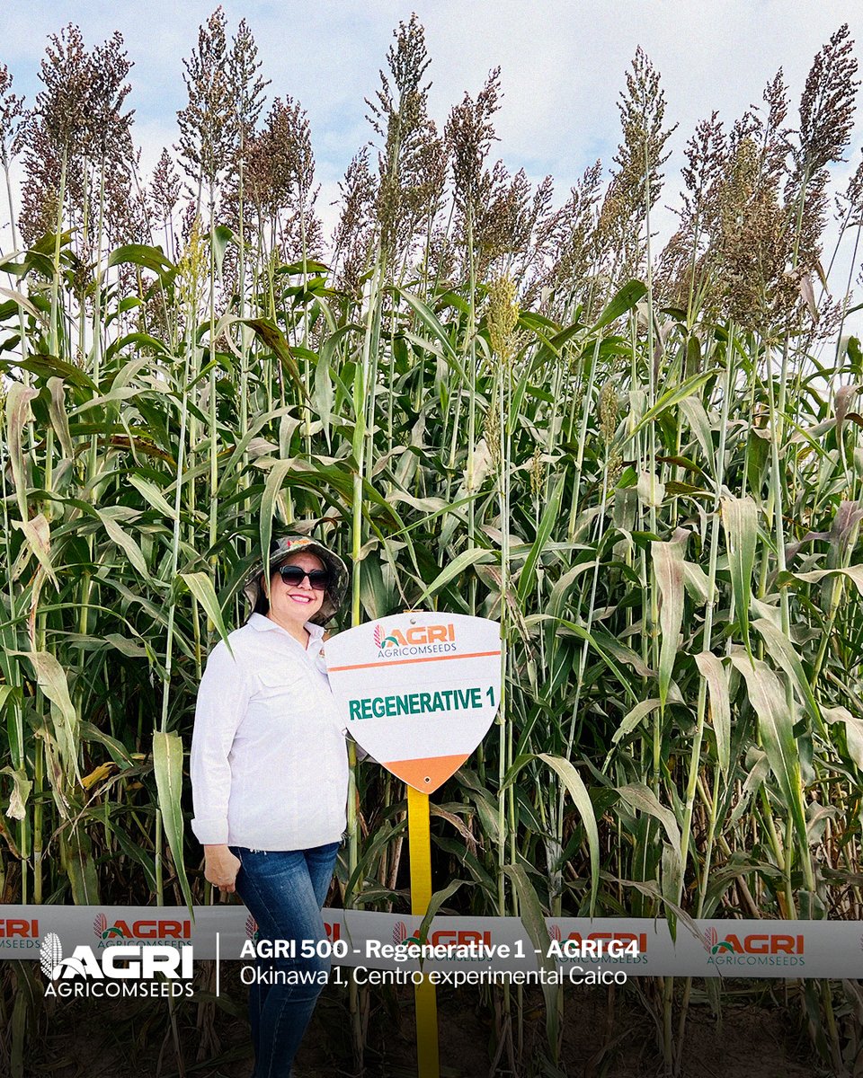 AgricomseedsSRL's tweet photo. Desde el centro experimental Caico en Okinawa, tres soluciones que impulsan el rendimiento y la sostenibilidad: AGRI 500, REGENERATIVE 1 y AGRI G4. https://t.co/9UzfTkjR4v