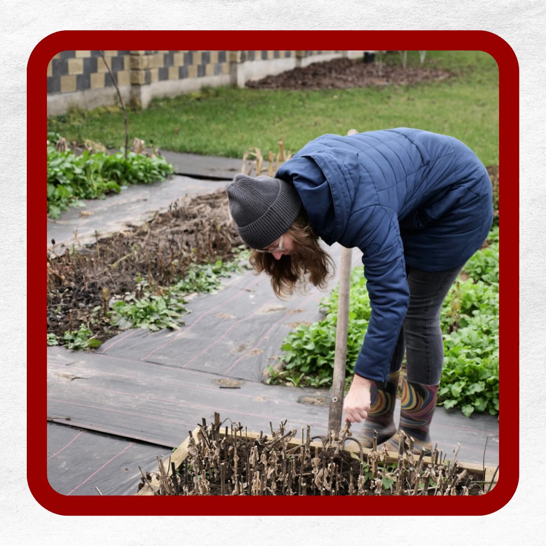 MoreInMyBasket tweet media