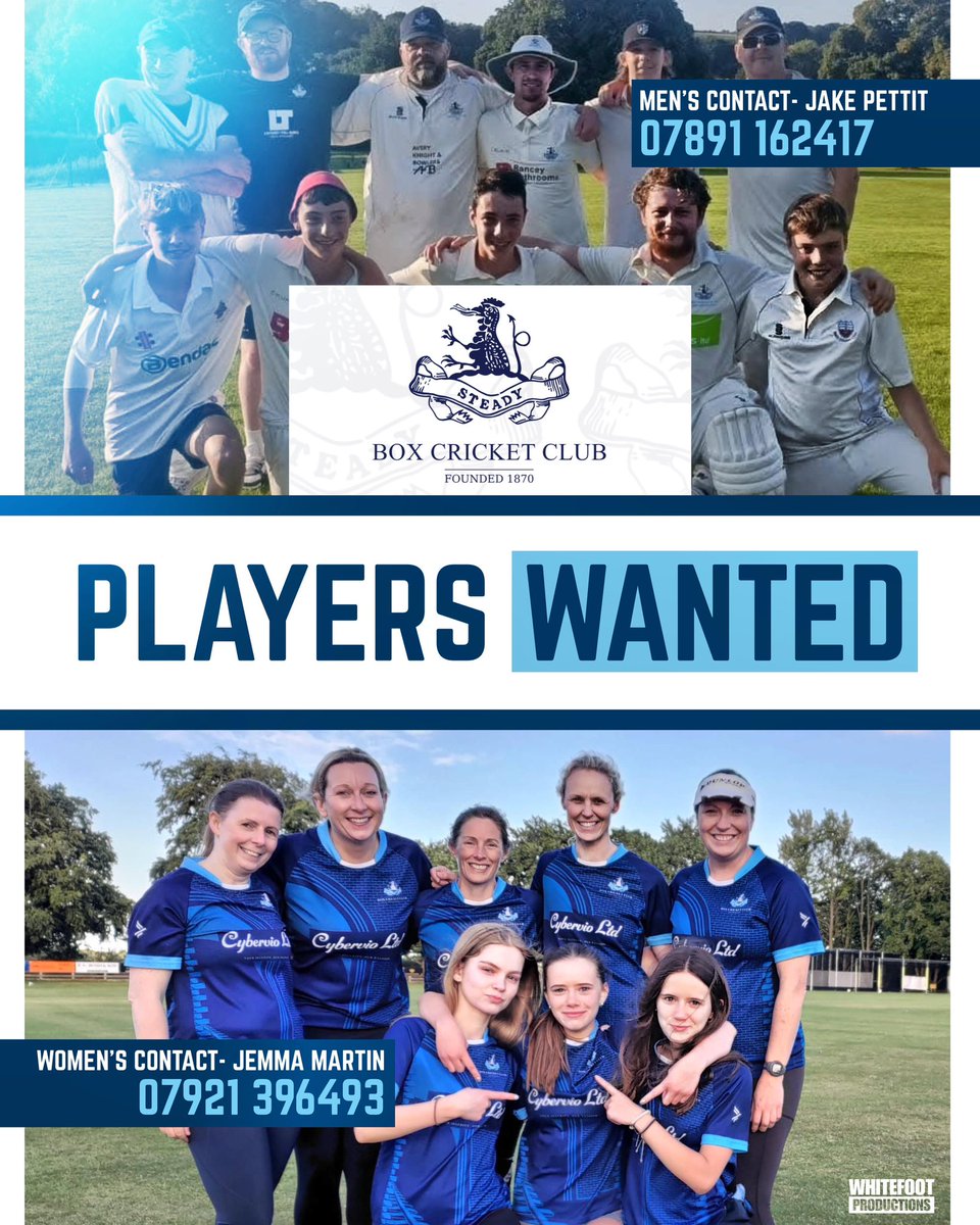 Box Cricket Club tweet media