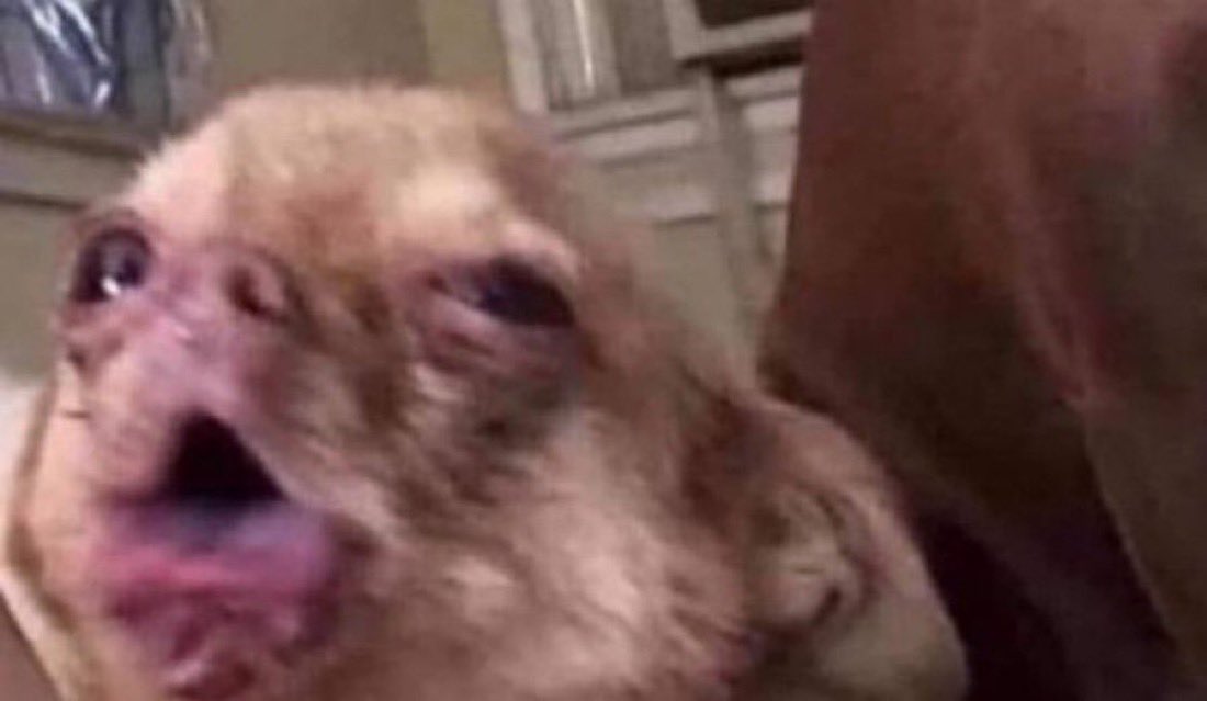 glitchu__'s tweet image. Me choking on my own salvia for no reason in my room