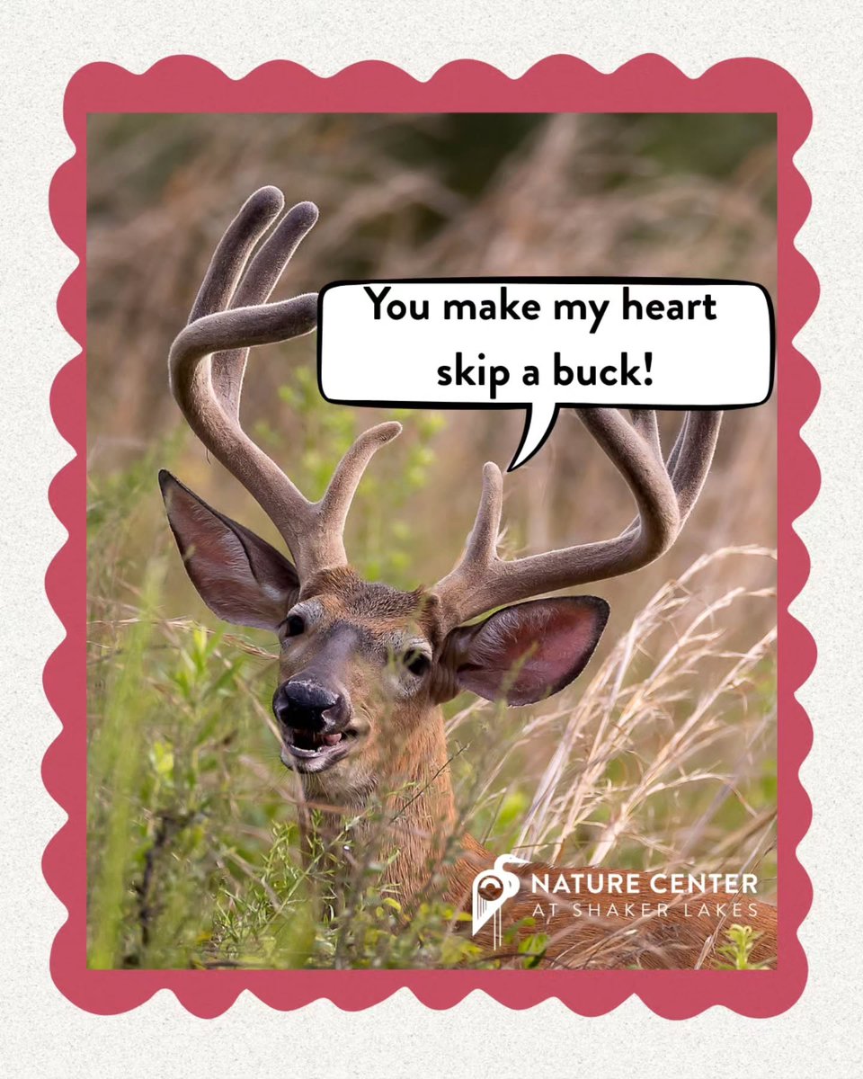 ShakerLakes tweet media