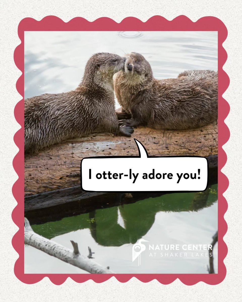 ShakerLakes tweet media