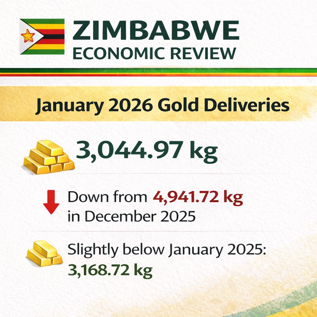 Zimbabwe Economic Review tweet media