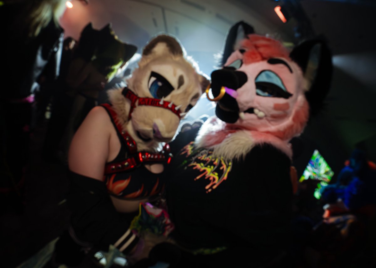 VibeStrike 🔜 TFF tweet media