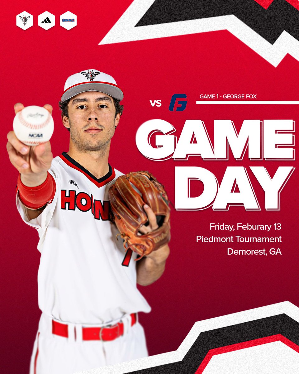 Lynchburg Baseball tweet media