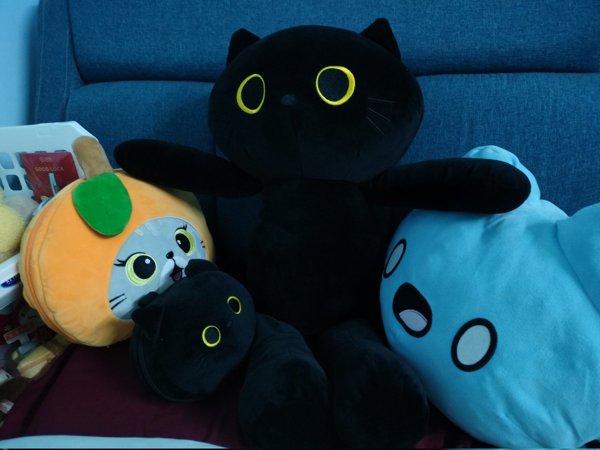 Skipper Lee tweet media