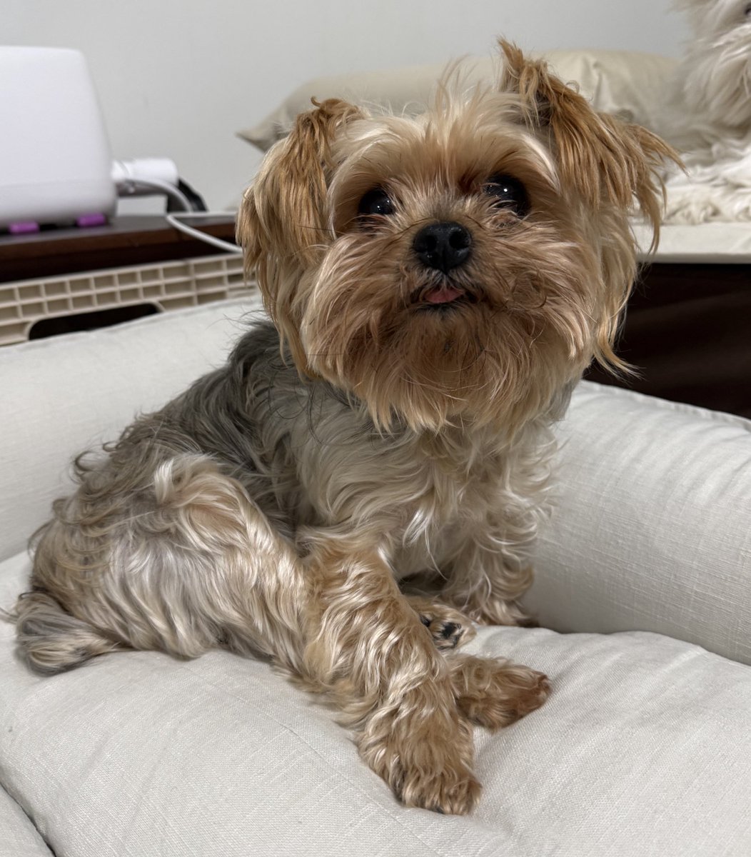 아갓쉬 다리를 왜 그릏게 하시나