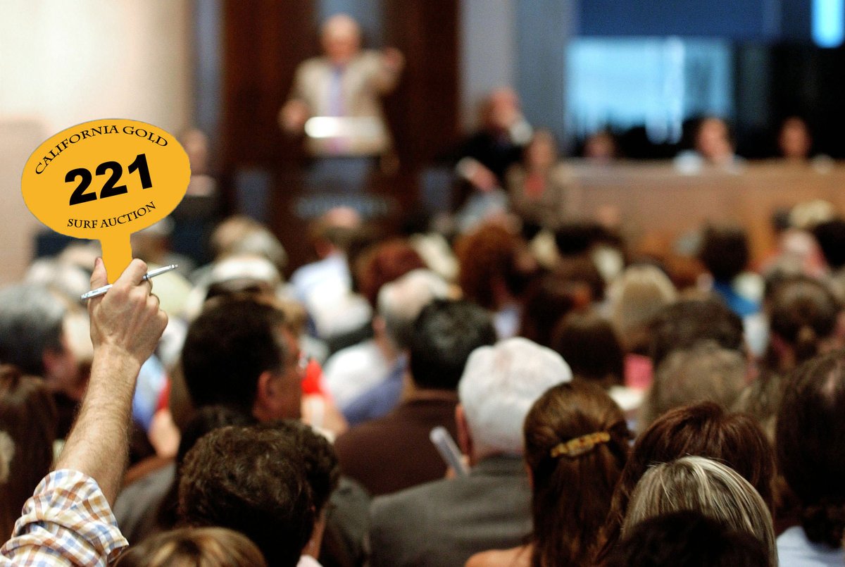 California Gold Surf Auction - International tweet media