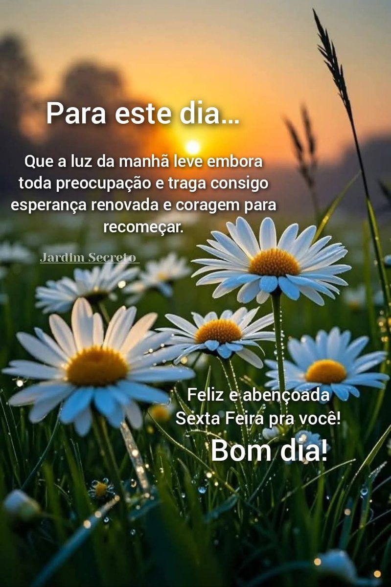 <a href="/ZMenngo/">Zico Dog Mengo</a>