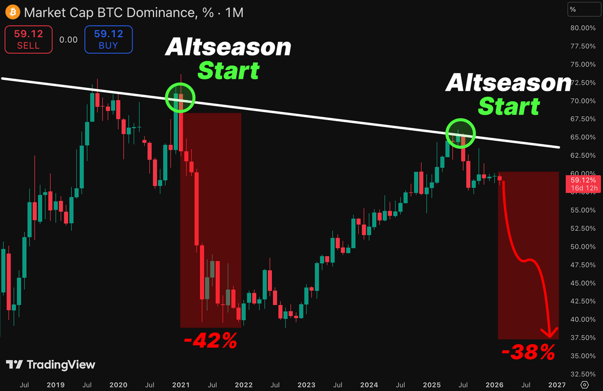 WHALE 🐳 EVERYTHING tweet media