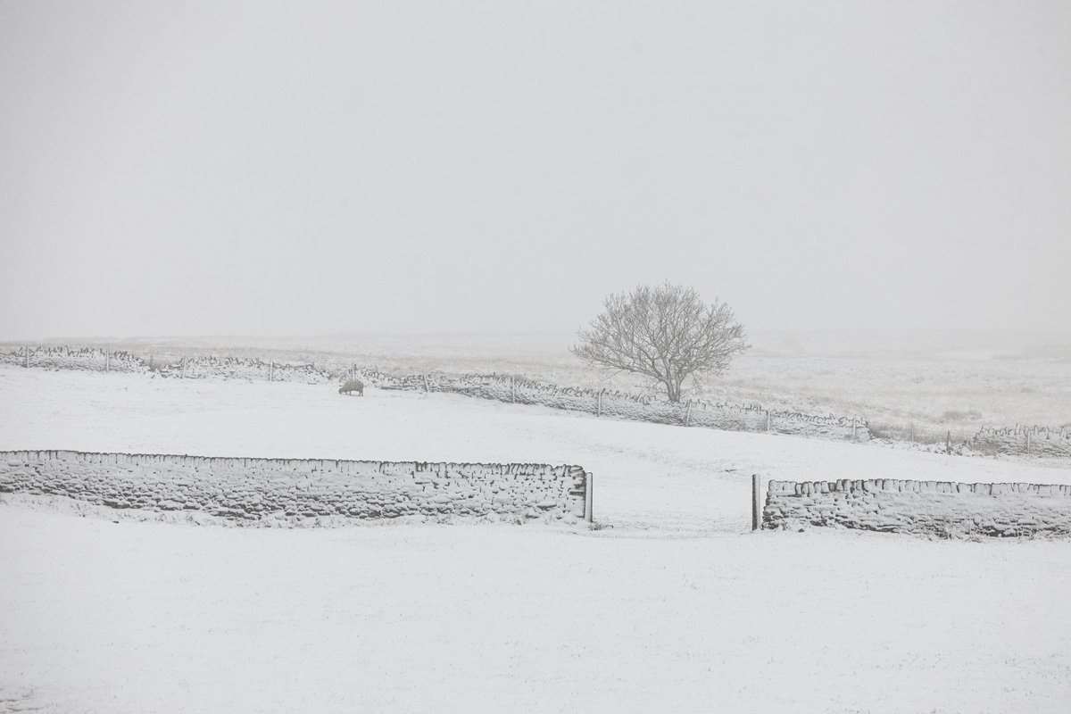 A wintry landscape scene on the hills above Cullingworth this morning, with a gentle touch of snow across Yorkshire.