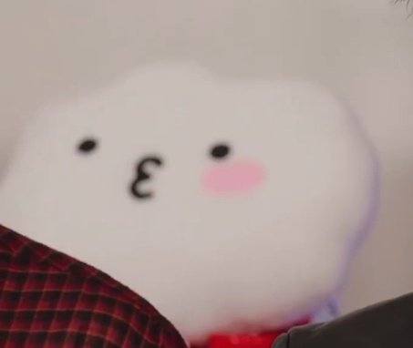 wonwoo, woozi, hoshi and jeonghan are on military enlistment so they displayed their character plushies with them. so cute :((