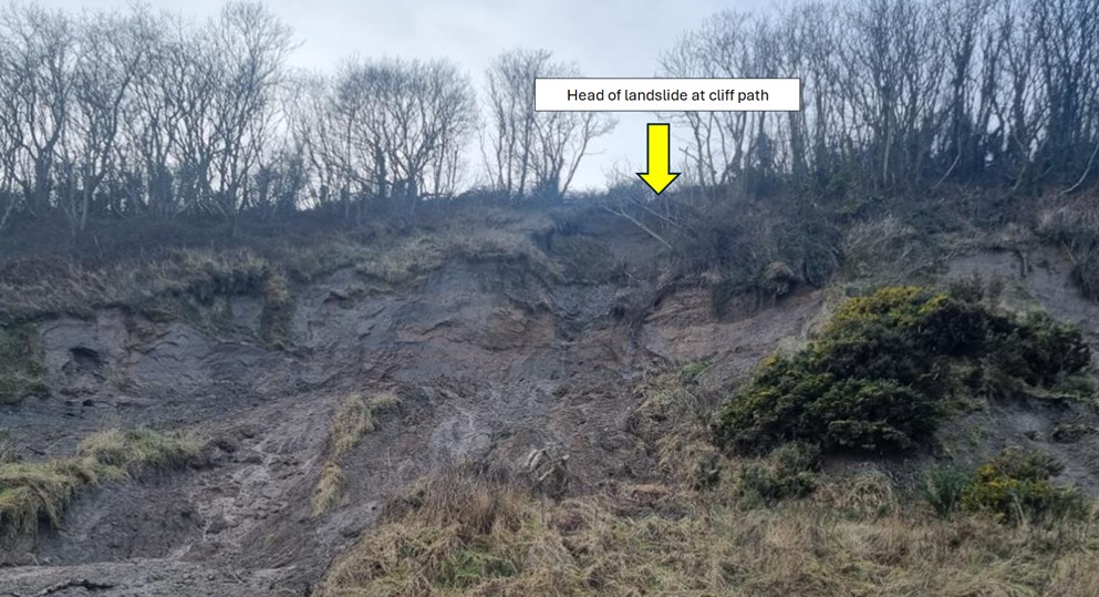 Wicklow County Council tweet media