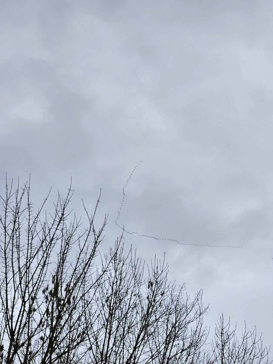 Dann kommt jetzt hoffentlich der Frühling.