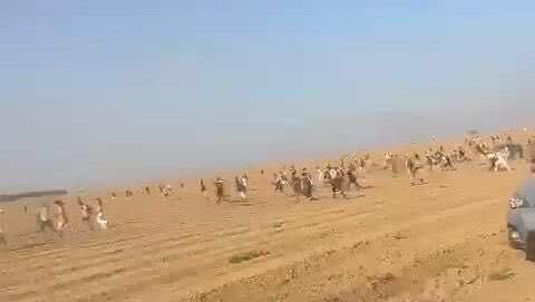 Joshua L. Zarka tweet media