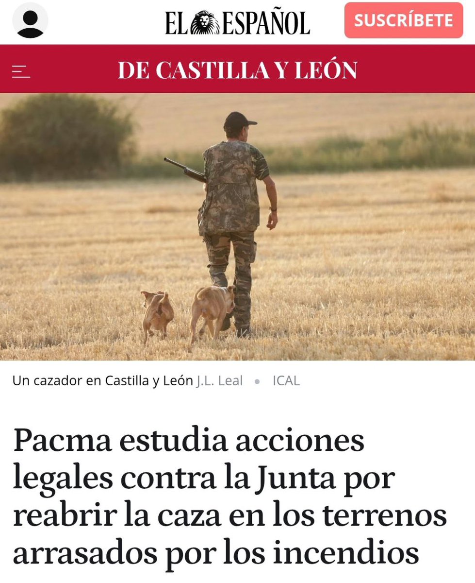 🚫¡No podemos permitirlo!

❌Quieren permitir la caza en terrenos quemados en Castilla y León, lo que va en contra de la ley, que exige cinco años sin caza para proteger la recuperación del ecosistema.

⚖Desde PACMA, hemos emprendido acciones legales. Van a acabar con la