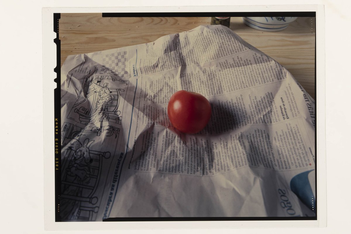 Centro Português de Fotografia tweet media