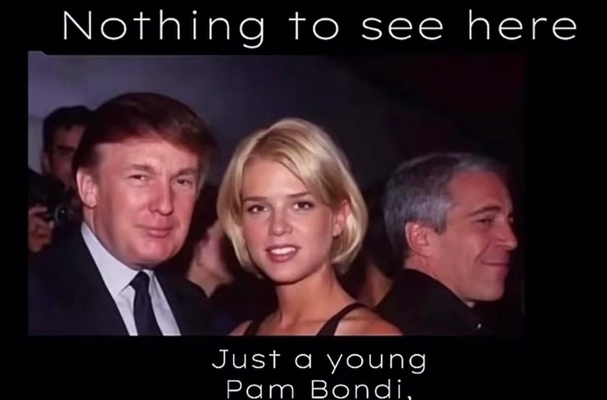 Is that a very young Pam Bondi with Trump- Epstein? 🤔

That’s probably why no one’s getting arrested? 👀

Hmmmm 🧐