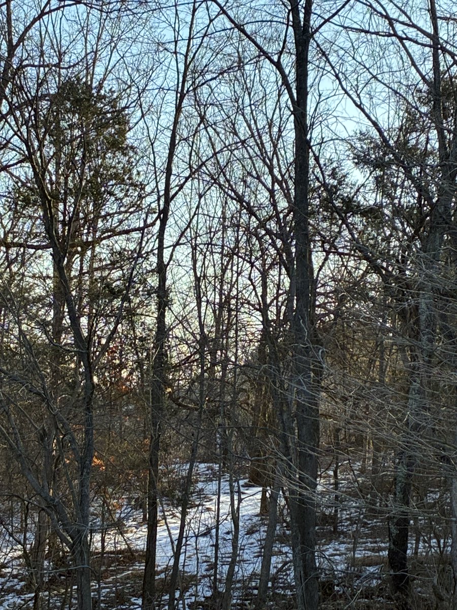 Louisville Air Pollution Control tweet media