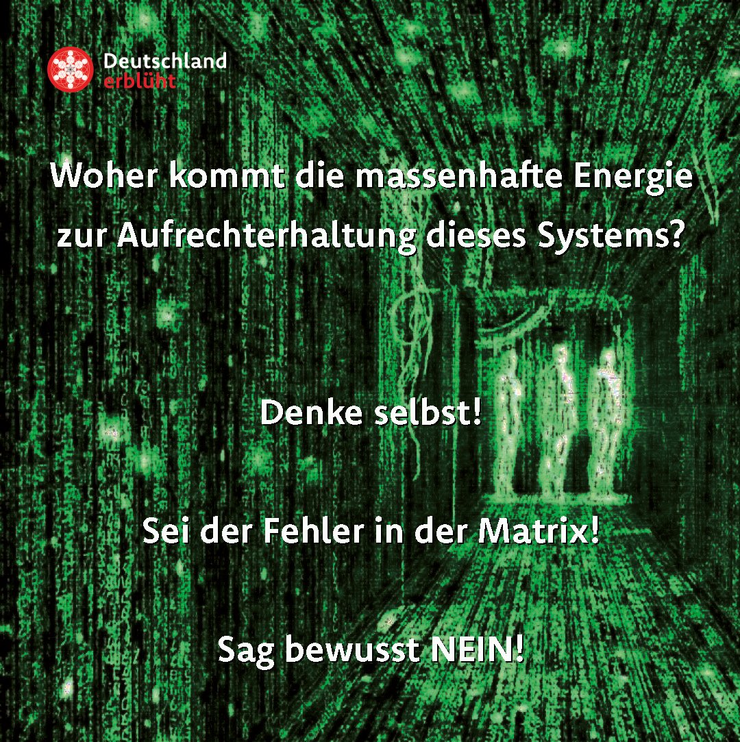Deutschlanderb's tweet photo. 1/2 Wenn sich im Außen scheinbar nichts tut, müssen wir bei uns selber anfangen.

Überlegen, wo wir den sich immer verschlechternden Status quo mit unseren eigenen Gedanken und Entscheidungen unterstützen oder eben Neo nacheifern. https://t.co/rkqsnChVdK