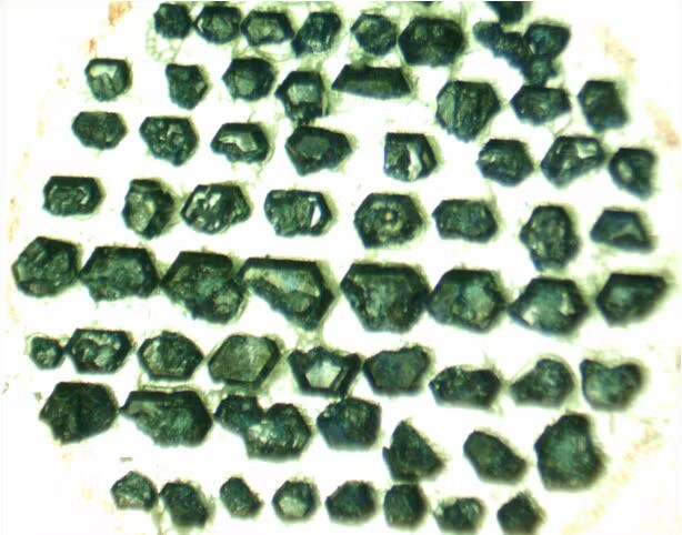 DOE Office of Science tweet media