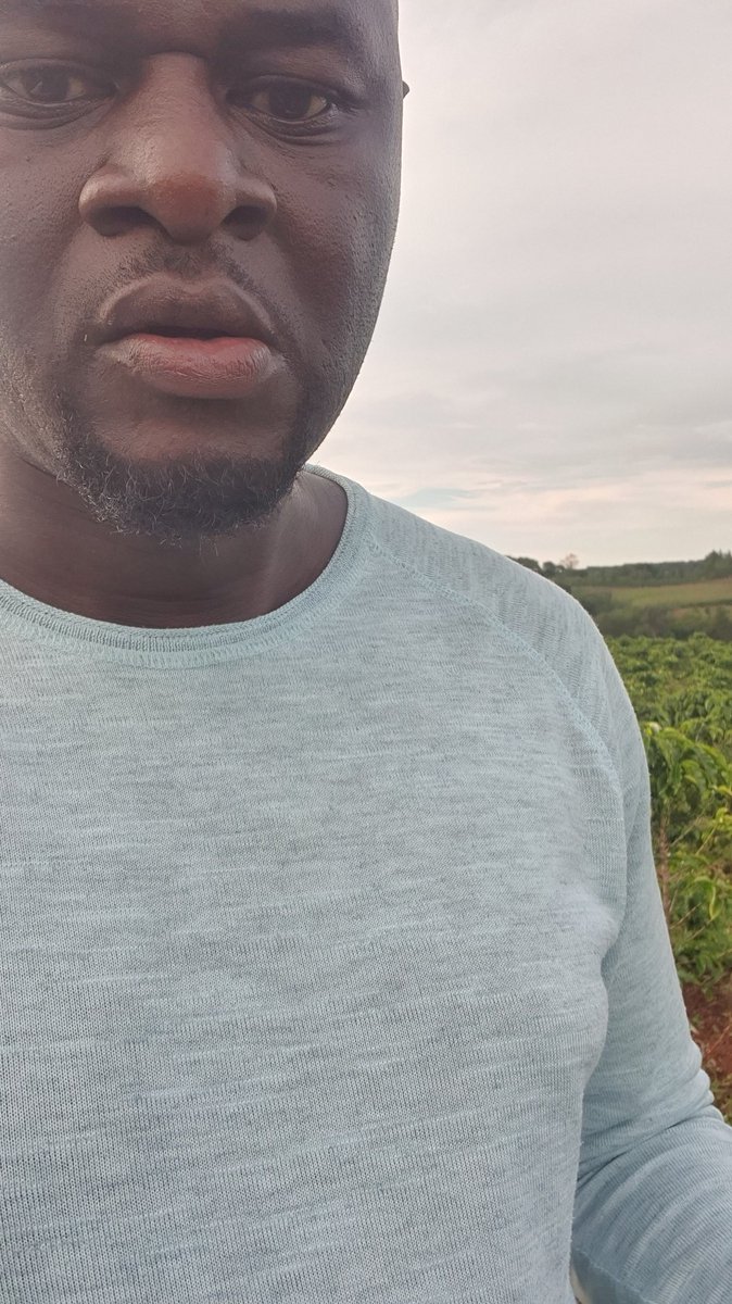 MichaelShimwel2's tweet photo. Kahawa – Dhahabu Nyeusi ya Tanzania ☕🇹🇿 

Kahawa ni zaidi ya kinywaji – ni urithi, ajira, na chanzo kikuu cha kipato kwa maelfu ya Watanzania. Kutoka mashamba ya Mbeya, Kilimanjaro, Arusha hadi Ruvuma, wakulima wanachangia uchumi wa taifa kupitia zao lenye thamani kubwa duniani. https://t.co/qHO6OsSfVv