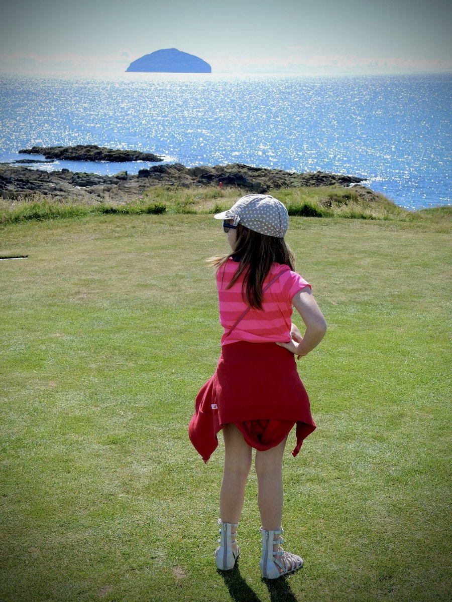 Scott MacLeod tweet media