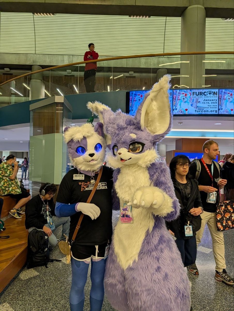 Budkip 🔜 AC tweet media