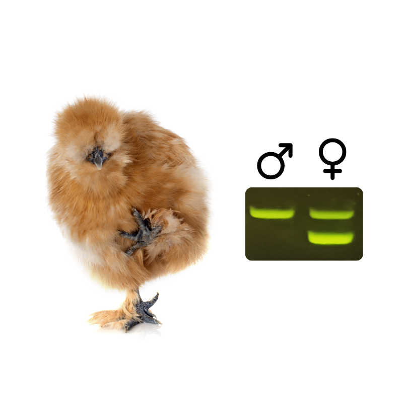 miniPCR bio tweet media