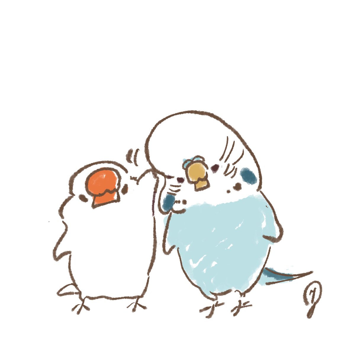 ジャンボセキセイのおでこに夢中…どんな触り心地なんだろう…ぷるんぷるんかもしれない