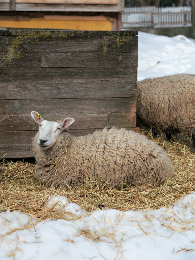 Celebrate Family Day weekend with a range of activities. The City of Toronto is offering several fun-packed options to help residents and visitors enjoy this year’s Family Day on Monday, February 16. 

The long weekend is the perfect opportunity to get out and about and